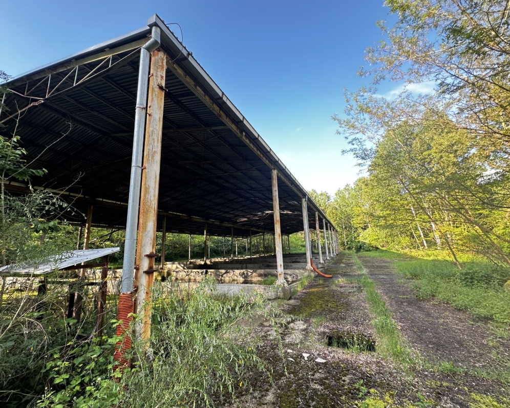 Prodej pozemku 6796 m², Losiná 27.177.204,- Kč