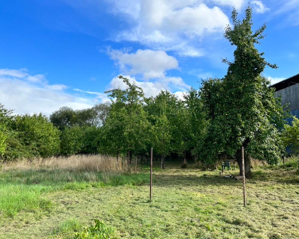 Prodej pozemku 1575 m², Vlkošov - Bezvěrov 899.000,- Kč